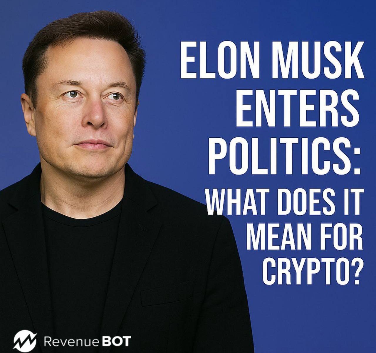 elon-musk-enters-politics